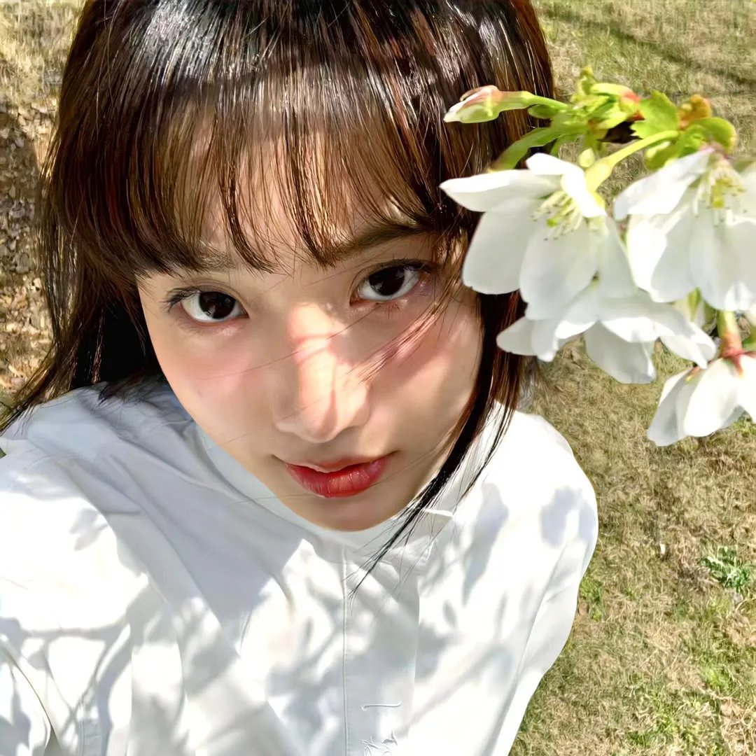 美德加·艾维斯